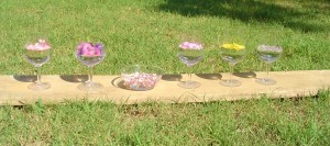 Une série d'élixirs floraux selon la méthode du Dr Bach : lavande, laurier rose millepertuis... (voir les élixir Dévas)