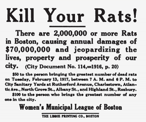 kill your rats