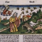 1562498nuremberg-bible-nuee-insectes-jpg